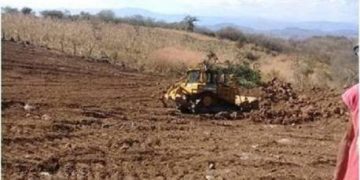 Rehabilita Gobierno de Michoacán 164 km de caminos saca cosechas en Tiquicheo