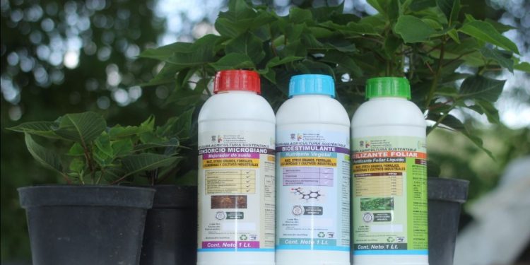 Agricultura Sustentable, política pública que debe trascender en Michoacán