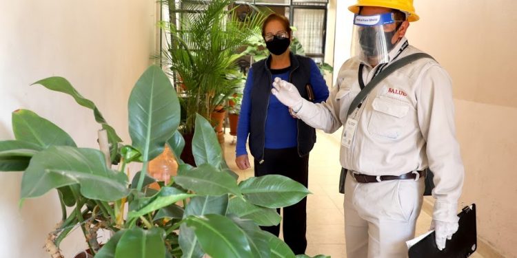 Registra Michoacán reducción del 42.8% de casos de dengue respecto a 2020