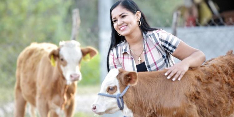 Importante proyectar acciones de proyección al sector ganadero y agrícola de Apatzingán