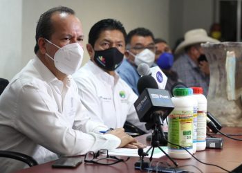 Agricultura Sustentable, alternativa para mitigar sequía en cultivos de Michoacán