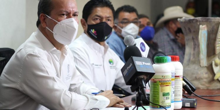 Agricultura Sustentable, alternativa para mitigar sequía en cultivos de Michoacán