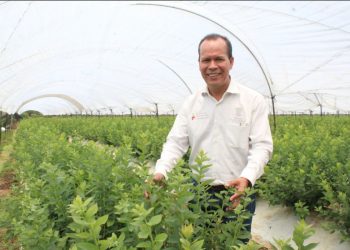 Aplicar 149 mdp en sanidad agroalimentaria, meta 2021 en Michoacán