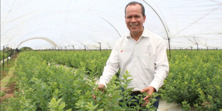 Aplicar 149 mdp en sanidad agroalimentaria, meta 2021 en Michoacán