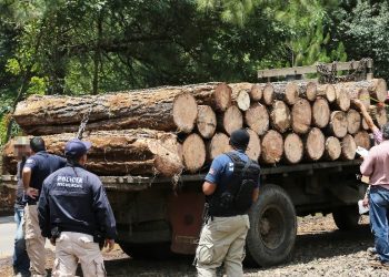 Piden diputados combatir delitos ambientales en Michoacán