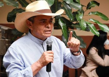 Todos los órdenes de gobierno deben detener destrucción de bosques: Arvizu