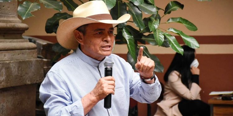 Todos los órdenes de gobierno deben detener destrucción de bosques: Arvizu