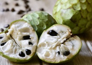 Produce Michoacán casi el 71 por ciento de la chirimoya del país