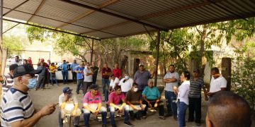 Atenderé las necesidades de los transportistas desde el Congreso: Fanny Arreola