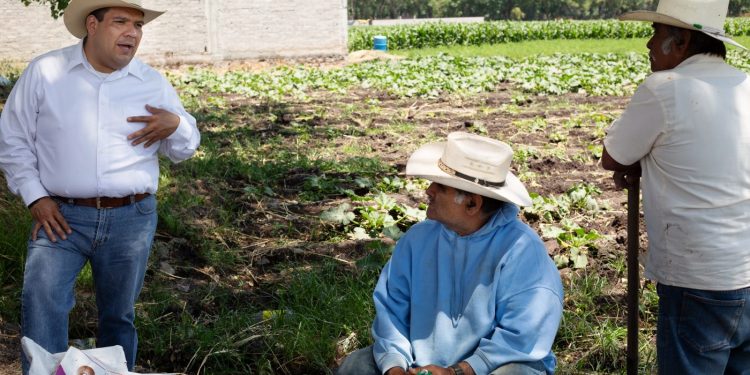 Productores tarimbarenses recibirán directamente los beneficios del campo: Bladimir González