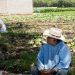 Productores tarimbarenses recibirán directamente los beneficios del campo: Bladimir González