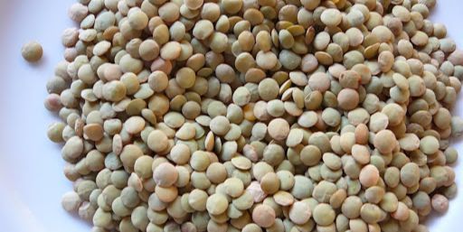 Michoacán produce el 93 por ciento de la lenteja del país