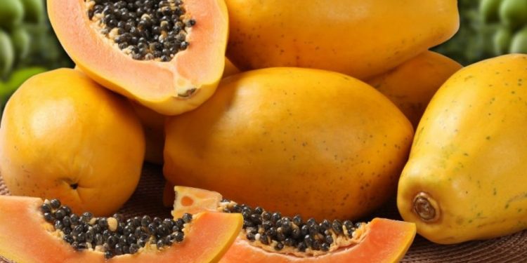 Michoacán es el 5° productor nacional de papaya