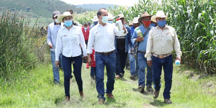 Resultados tangibles logra Agricultura Sustentable en Michoacán