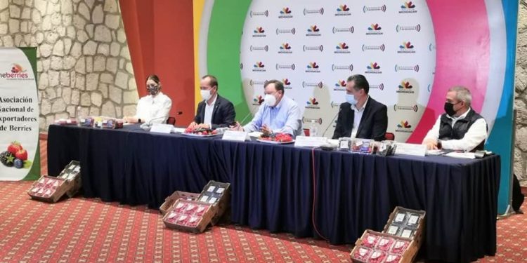 Crece 9% industria de las berries; Michoacán, líder indiscutible