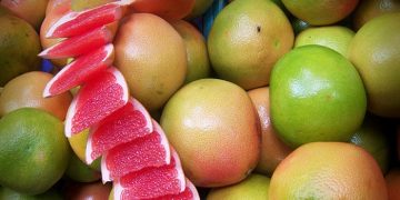 Exporta Michoacán toronja a 7 países del mundo