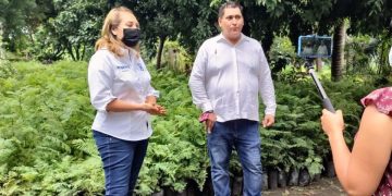 Cuquita Cabrera dejará constancia de gestión social y legislativa; ciudadanía