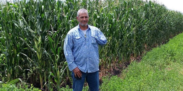 Agricultura Sustentable elevó 3 toneladas más por hectárea en el Ejido Tariácuri