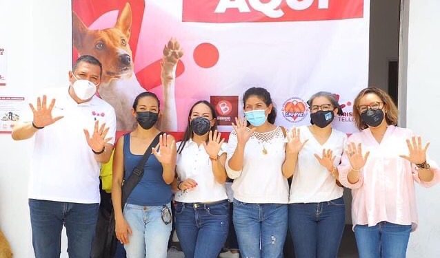 Con gran éxito se realiza jornada de esterilización de mascotas en Villas del Pedregal