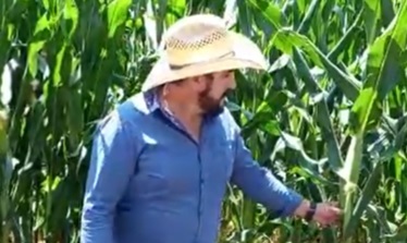 Con o sin apoyo, seguiremos con Agricultura Sustentable, dice productor