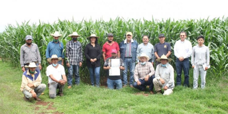 Promueve diputado elaboración de lixiviados agrícolas en Tzintzuntzan