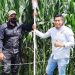 Logra Agricultura Sustentable extraordinarios resultados en maíz de Tzintzuntzan