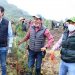 Arranca el programa de reforestación “Morelia Brilla”