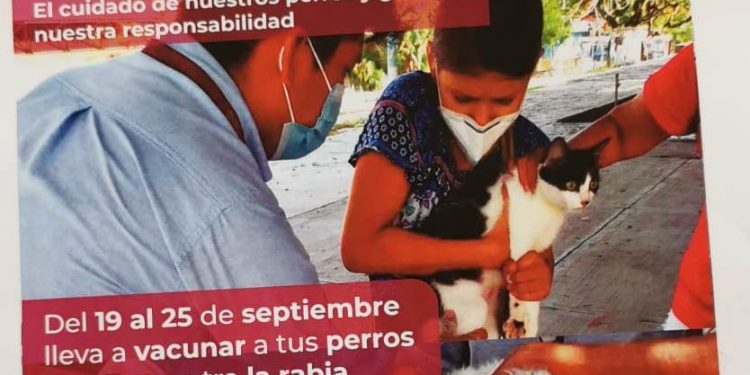 En Apatzingán invitan a vacunar a mascotas la próxima semana