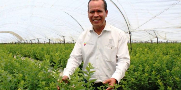 Michoacán, reconocido a nivel mundial por su liderazgo en el campo