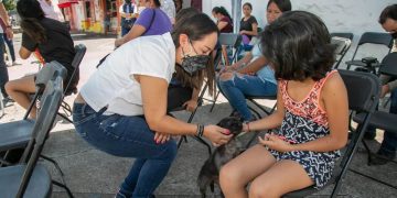 Se une el Consejo Coordinador Empresarial a las Jornadas de Esterilización, encabezadas por Grisel Tello
