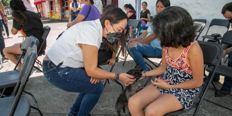 Se une el Consejo Coordinador Empresarial a las Jornadas de Esterilización, encabezadas por Grisel Tello