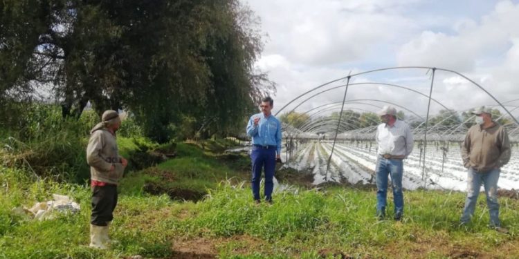 Reconocen en Tangancícuaro, potencial del Programa de Agricultura Sustentable