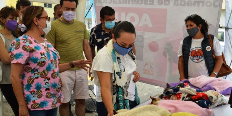 135 animales de compañía fueron esterilizados en un sólo día de jornada impulsada por Grisel Tello.