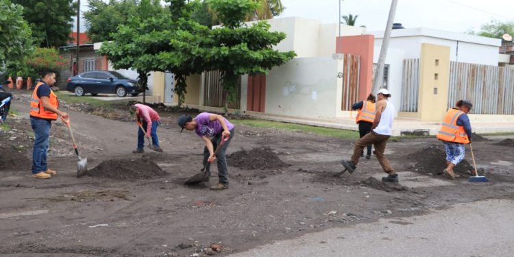 Realizan limpieza de avenidas para evitar inundaciones