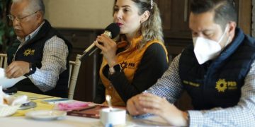 El estado azotado por la violencia y el gobernador de Morena sin estrategia en seguridad: PRD