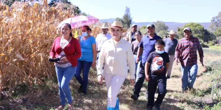 Inaceptable que atención y apoyo al campo no sean prioritarios para las autoridades en México: Julieta Gallardo