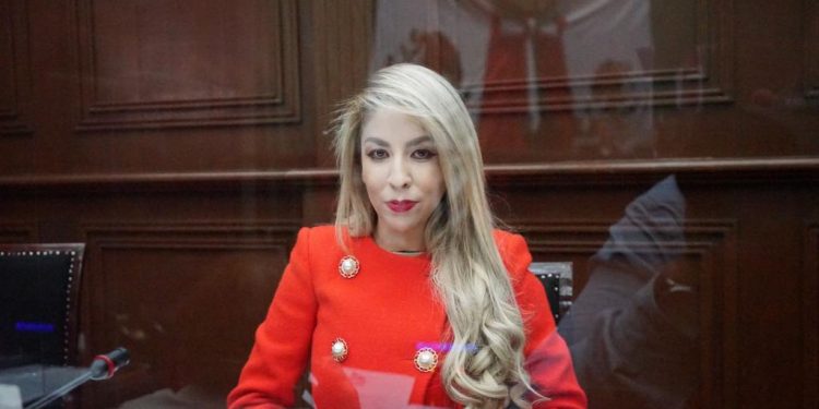 Revisaremos y analizaremos marco jurídico para proteger el medio ambiente: Belinda Hurtado