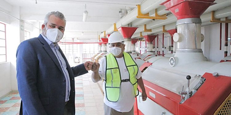 Respalda Bedolla reactivación de harinera para impulsar a productores de trigo michoacanos