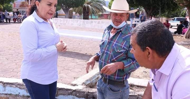 Producción de resina en Michoacán continúa en riesgo: Julieta Gallardo