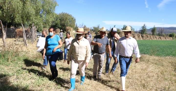 Urgente mejorar las condiciones de vida de los jornaleros agrícolas: Julieta Gallardo