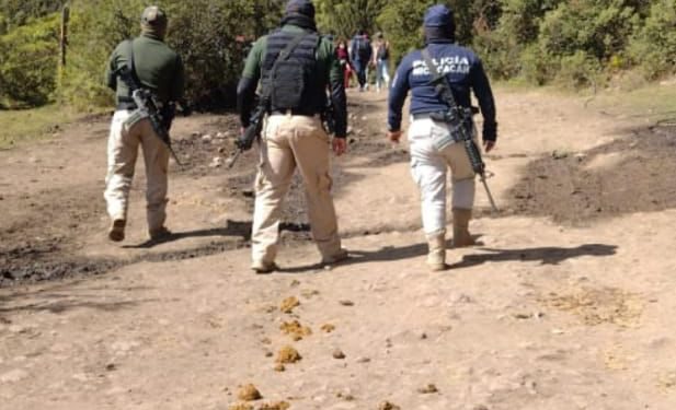 SSP, GN y PM continúa operativo en los santuarios de la Mariposa Monarca