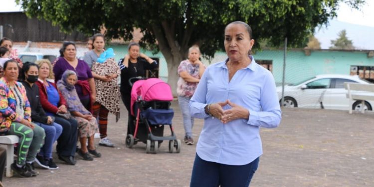 Deberá ampliarse plazos de descuentos en reemplacamiento ante fallas de Gobierno: Julieta Gallardo