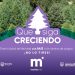 Aún hay tiempo para rescatar tu árbol navideño