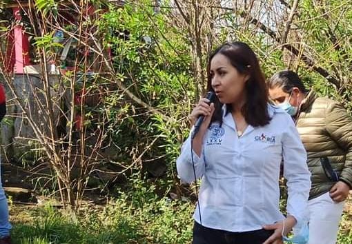 Fondo de Infraestructura Social debe catalogarse con rango de Ley: Gloria Tapia