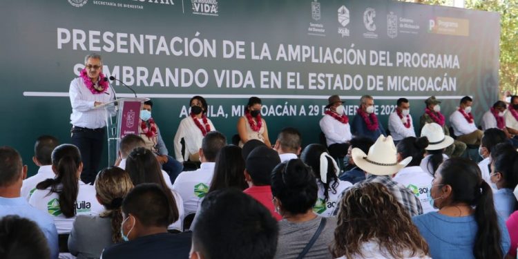 Gobiernos de México y Michoacán amplían programa Sembrando Vida