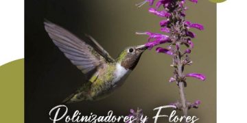 Preparan exposición fotográfica y documental en Colegio de Morelia