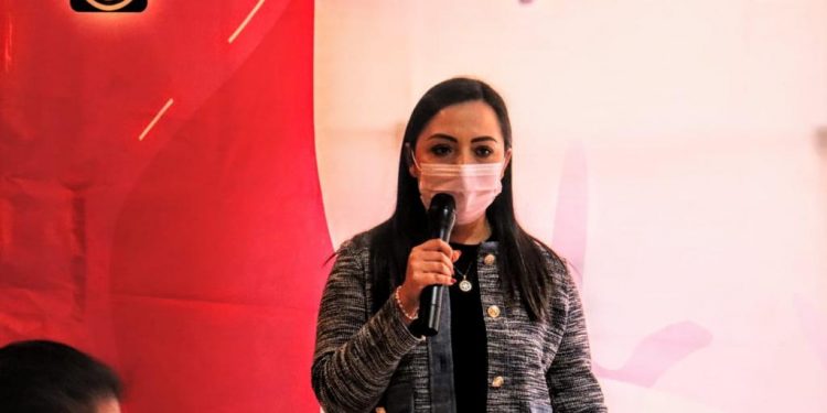 Necesario garantizar acceso a servicios de salud de calidad: Liz Hernández