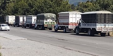 SSP brinda servicio de acompañamiento a 15 camiones cargados de aguacate, en Uruapan