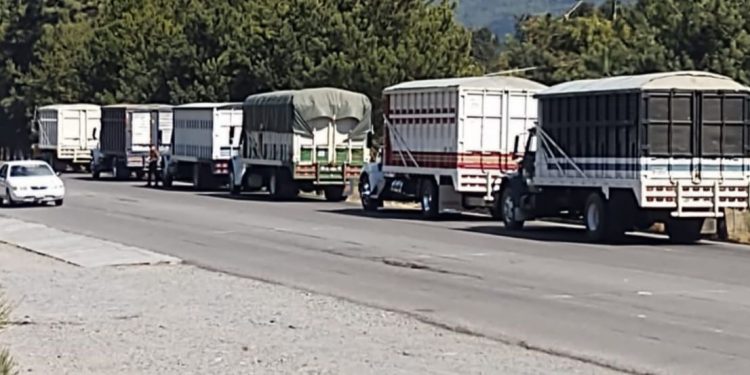 SSP brinda servicio de acompañamiento a 15 camiones cargados de aguacate, en Uruapan