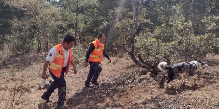 Intensifican búsqueda de persona desaparecida en el Cerro del Tzirate